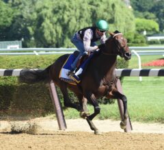 Subpar Workout May Now Have Exaggerator Training up to G1 Travers
