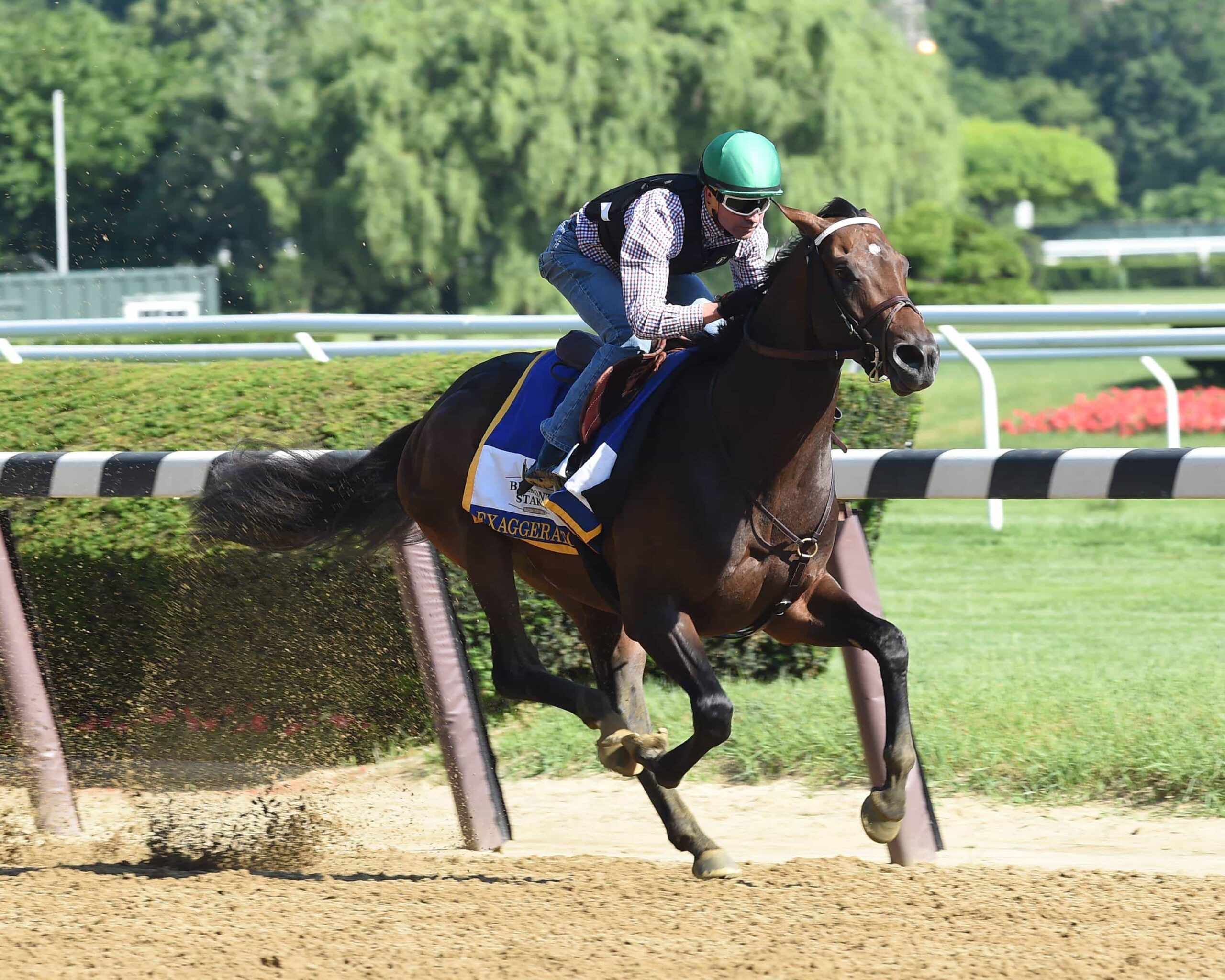 Subpar Workout May Now Have Exaggerator Training up to G1 Travers