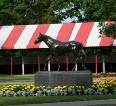Schuylerville Stakes Preview: Saratoga is Here!