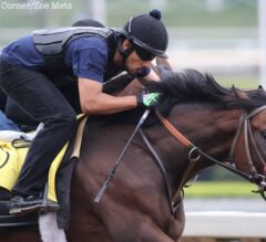 Santa Anita Stable Notes: Nyquist Breezes Half-Mile in 48.60