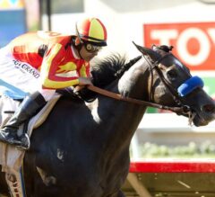Pretty N Cool Cruises to C.E.R.F. Stakes Victory at Del Mar
