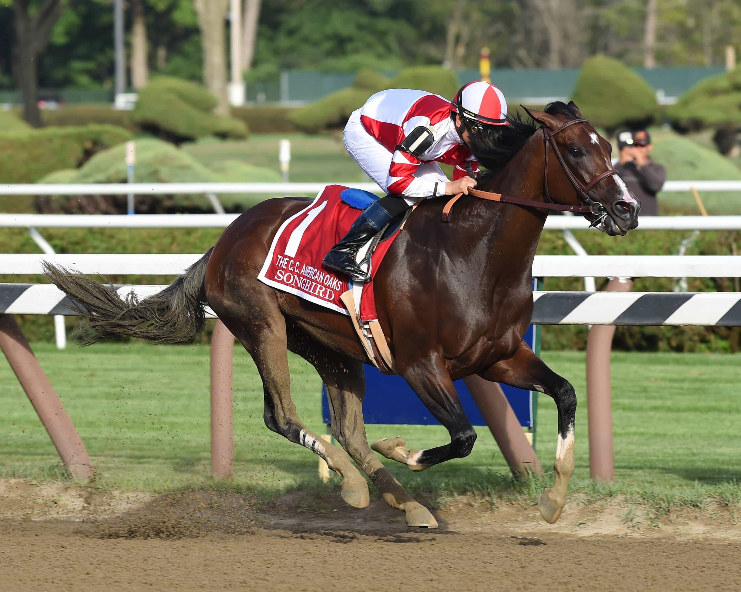 Alabama Stakes Preview: Songbird's Time to Shine Once Again