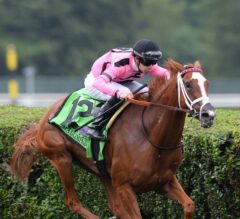 Geroux Gears Up for Saratoga