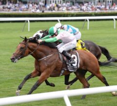 Woodbine Mile Preview: Euros Invade Canada