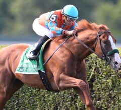 Force The Pass Looks to Get Back in Winner’s Circle in Forbidden Apple