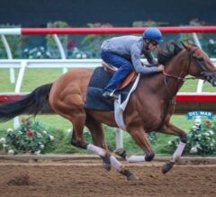 Beholder Back on Worktab, Pacific Classic ‘Possible’
