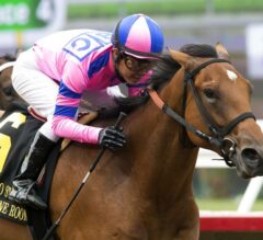 Two-Year-Old Champagne Room Grinds Home to Win G2 Sorrento at Del Mar