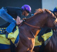 Del Mar Stable Notes: California Chrome, Dortmund Put in Final Works for Pacific Classic