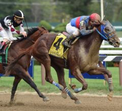 Gunnevera Goes Last to First to Win G2 Saratoga Special