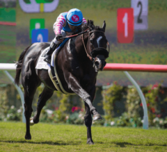 Midnight Storm Holds Off Om in G2 Del Mar Mile