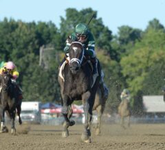 Nonna Mela Jumps to Stakes Company and Cruises in G2 Adirondack