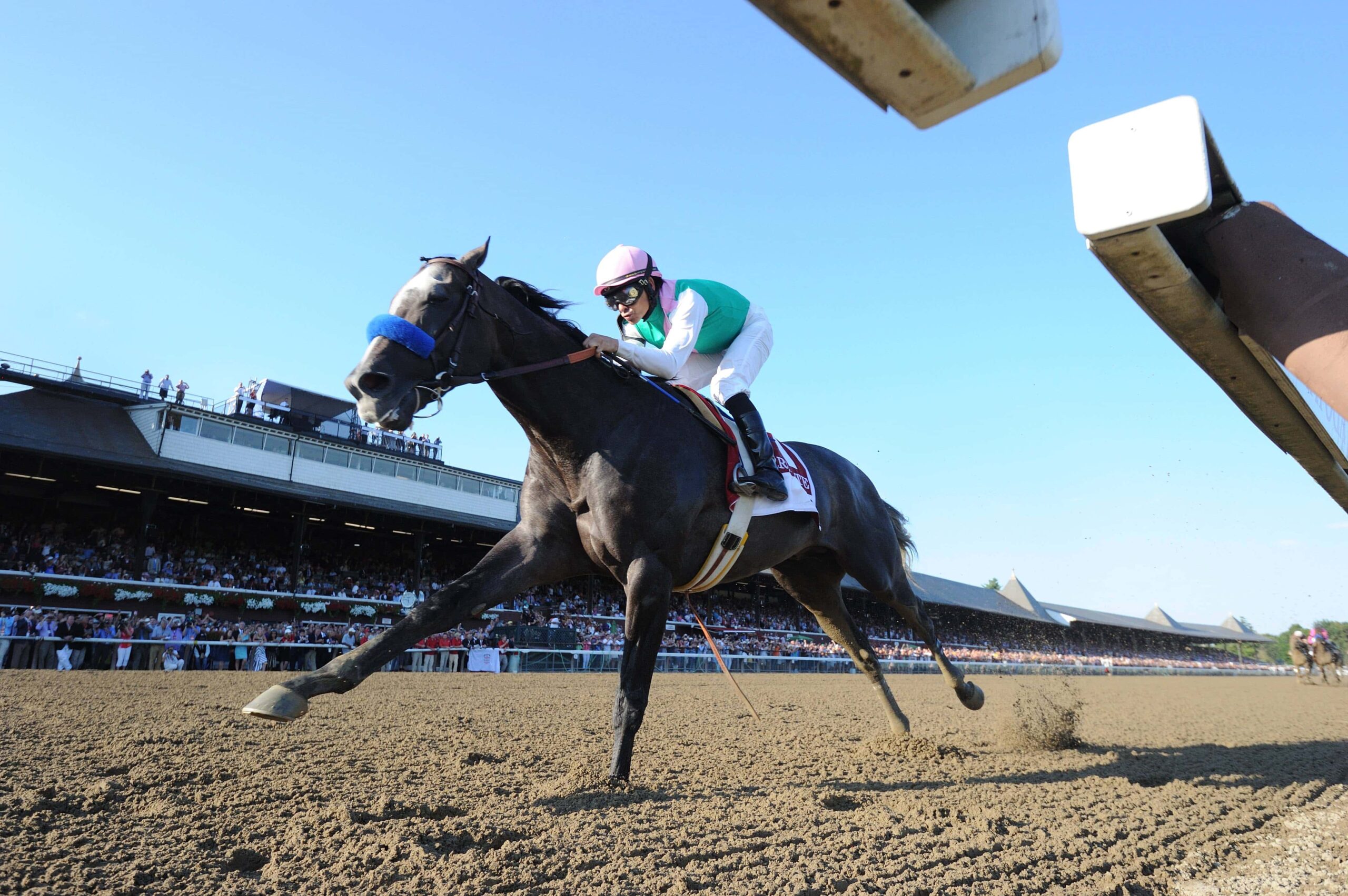 Saratoga Race Replays - p3wqzb6