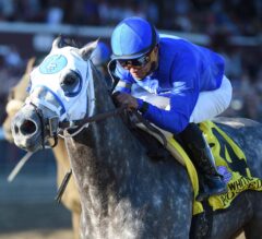 Saratoga Report #3: Frosted Dazzles in the Whitney Stakes