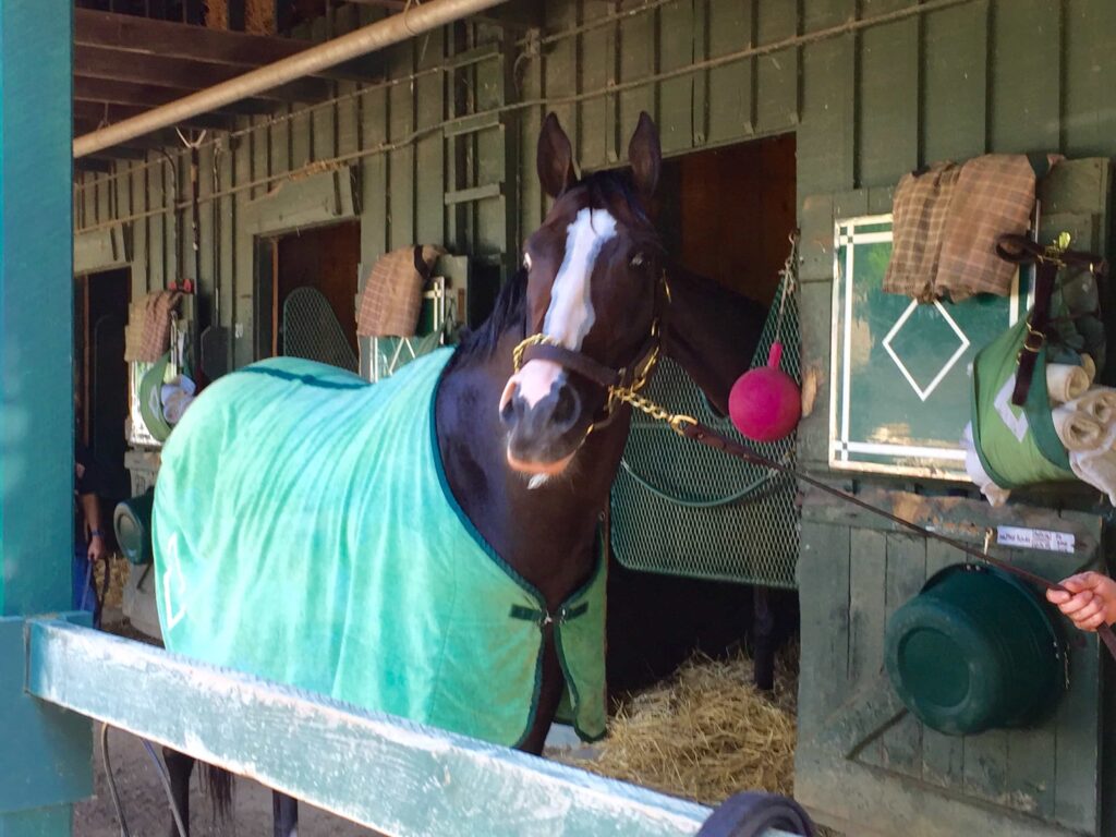Tourist at the Bill Mott barn in Saratoga in late June (Photo: Michael Spector)