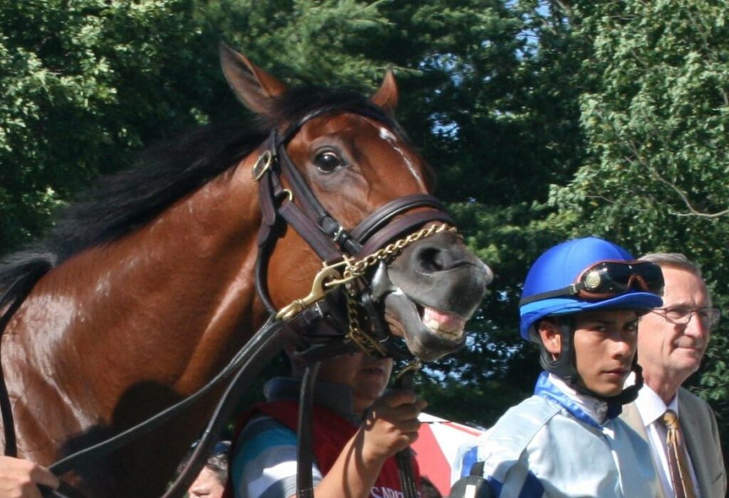 Olive Branch was up to her old tricks before the Grade-3 Schuylerville at Saratoga (Photo: Michael Spector)