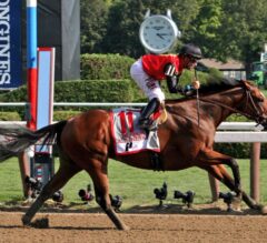 TRAVERS DAY LIVE BLOG!