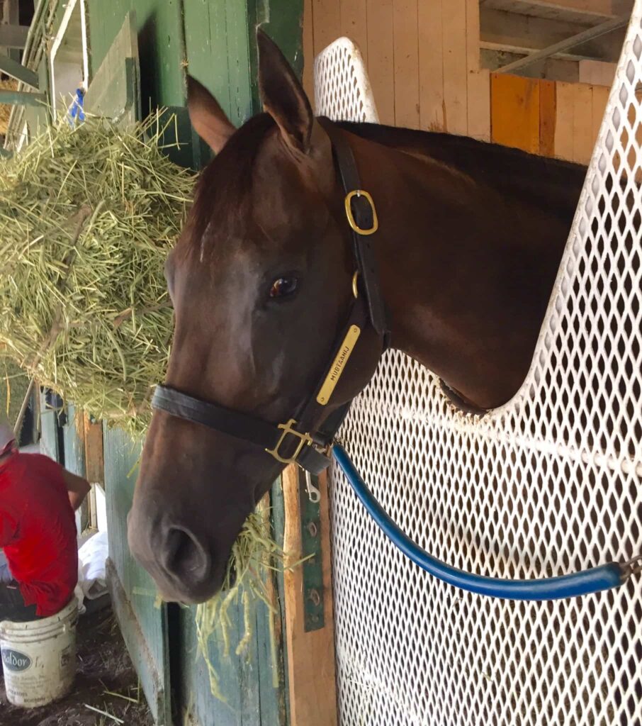 Mubtaahij