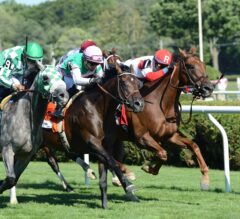 Shining Copper Changes Tactic in Thrilling Fasig-Tipton Lure Win