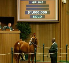 $1 Million Curlin Colt Tops Strong Friday at Keeneland September Yearling Sale