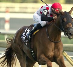 Victory to Victory Takes G1 Natalma, Earns Breeders’ Cup Berth