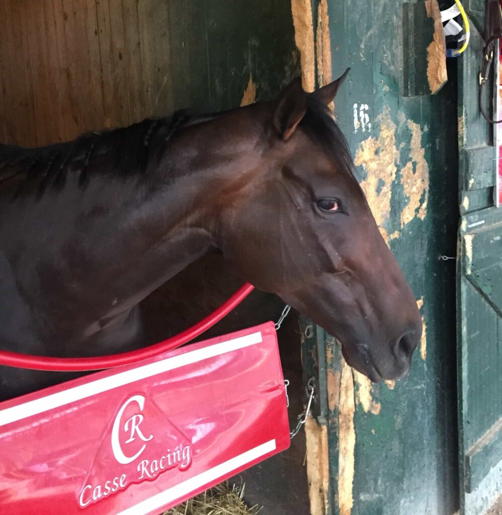 Tepin side eye is the mark of a focused champ (Photo: Michael Spector)