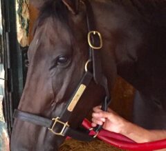 THE SKINNY: Tepin Time