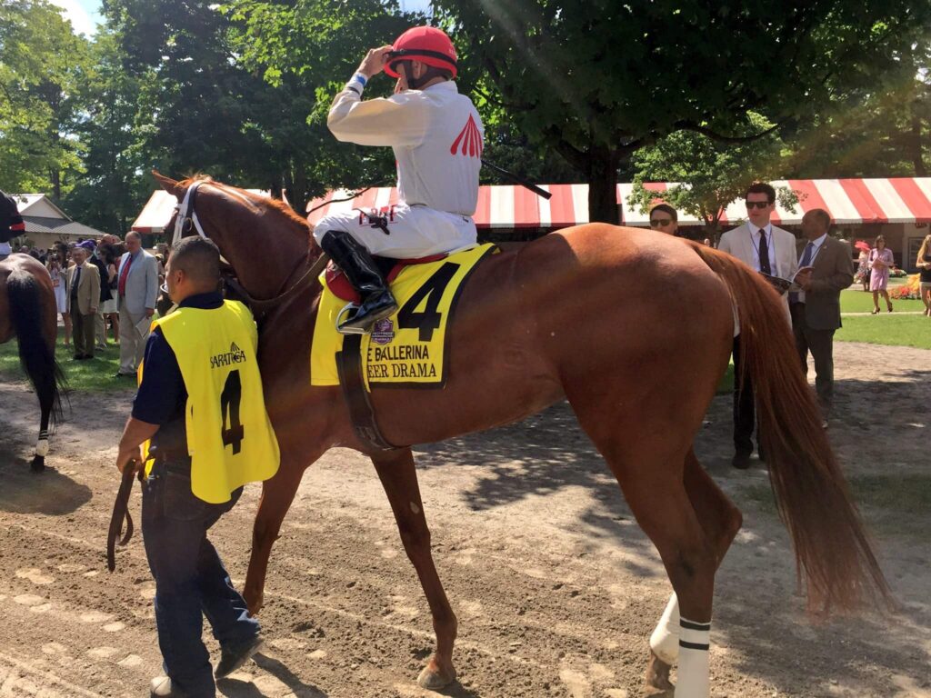 Sheer Drama riding off into the sunset before her last race in this year's Ballerina (Photo: Michael Spector)