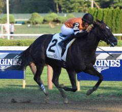 Lucy N Ethel Upsets in G2 Prioress; Chad Brown Breaks Saratoga Record