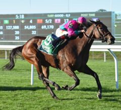 Mrs McDougal Holds off Stablemate Zindaya to Win G3 Noble Damsel