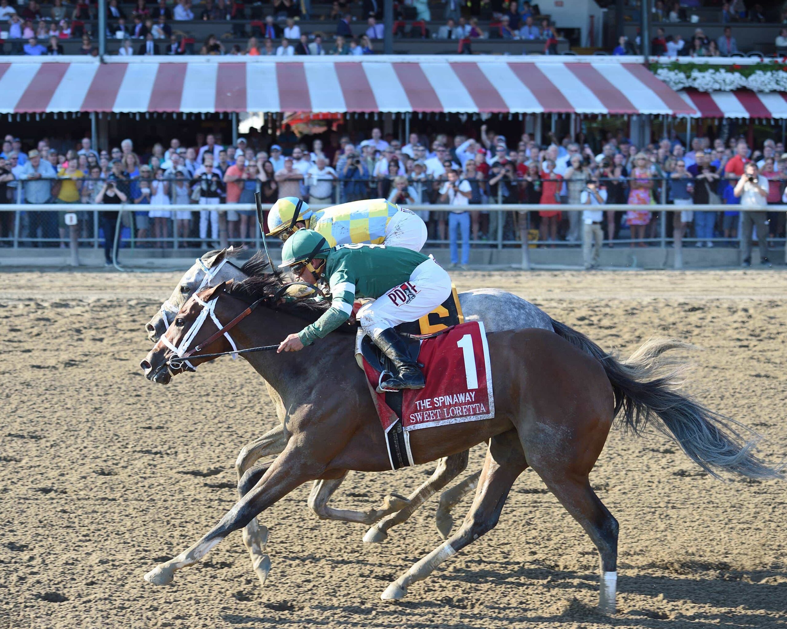 Talpit Raced Tapit Dead-Heat in Thrilling G1 Spinaway