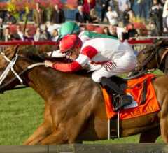 Al’s Gal Holds off Suffused to Win G1 E.P. Taylor Stakes
