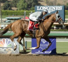 California Chrome Dominant in G1 Awesome Again