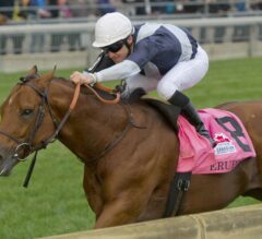 Erupt Explodes in Stretch to Win G1 Pattison Canadian International