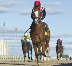 Golden Hawk Remains Undefeated in G3 Grey Stakes at Woodbine