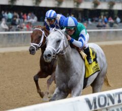 Anchor Down Goes Gate-To-Wire in G2 Kelso Handicap