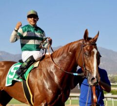 Apple Blossom Preview: Stellar Wind Makes 2017 Debut