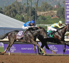 Classic Empire Holds off Favored Not This Time in Breeders’ Cup Juvenile