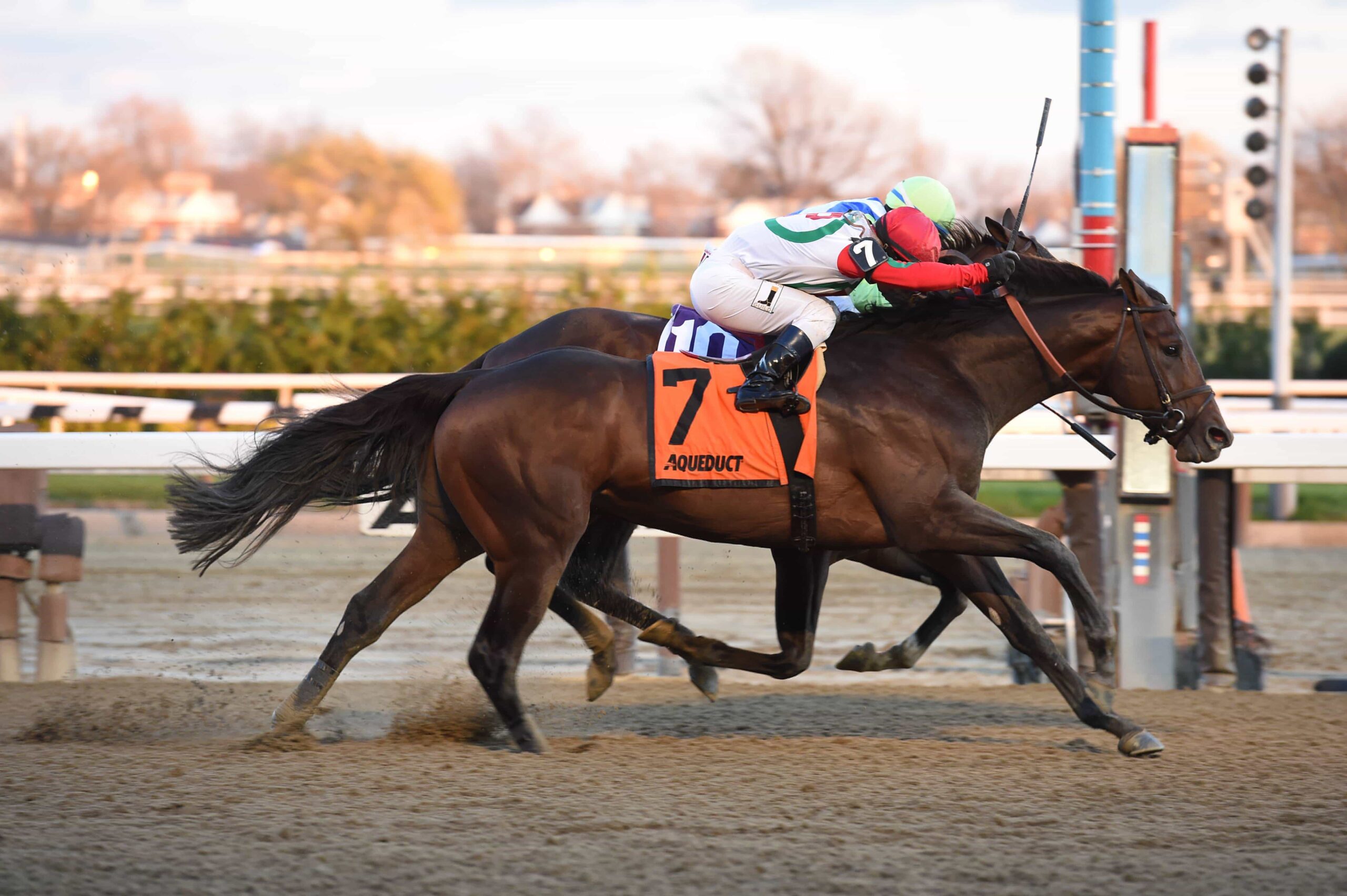 Aqueduct Notes Connect Exits G1 Cigar Mile Victory in Good Shape