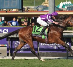 Highland Reel Too Much for Flintshire in Breeders’ Cup Turf