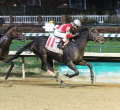 Gulfstream Notes: Undefeated McCraken Nearing 3-Year-Old Debut