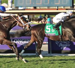 Tourist Holds off Champion Tepin in $2 Million Breeders’ Cup Mile