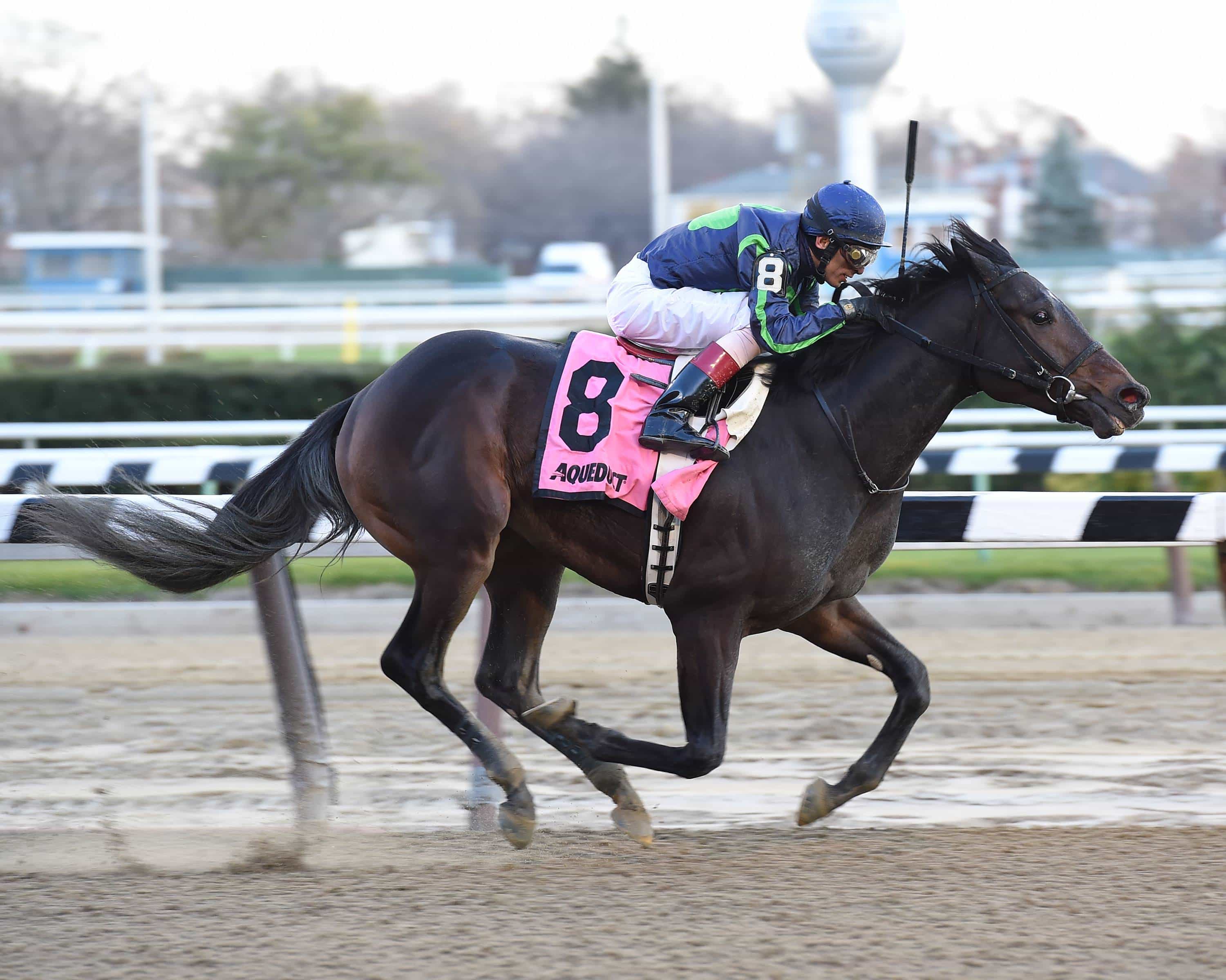 Risen Star Stakes Preview Mo Town Makes 3YearOld Debut
