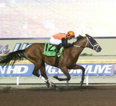 Cool Arrow Cruises in Wire-To-Wire Victory in $300,000 Springboard Mile