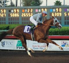 California Chrome Sets Track Record in Winter Challenge Romping