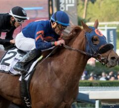 Mind Your Biscuits Runs Down Sharp Azteca to Win G1 Malibu Stakes