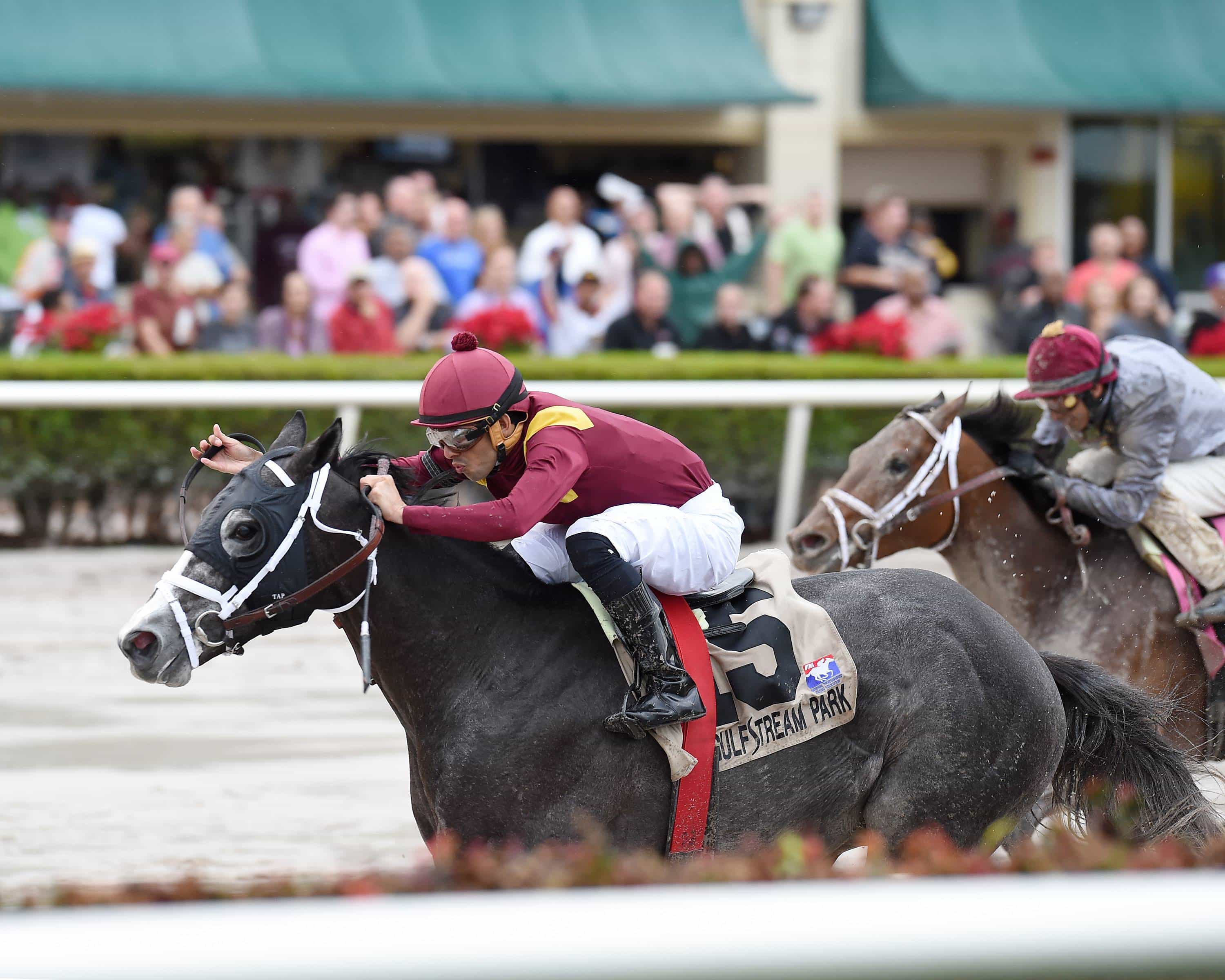 Tampa Bay Derby Preview Tapwrit takes Center Stage