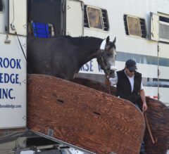 Arrogate Arrives at Gulfstream for $12 million Pegasus World Cup