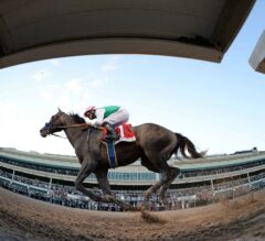Dubai World Cup Preview:  Arrogate Ready to Continue Legacy