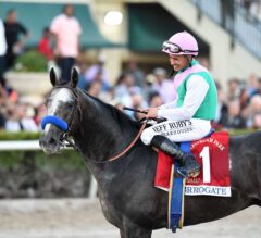 Breeders’ Cup Classic Preview: Final Showdown to Determine Horse of the Year