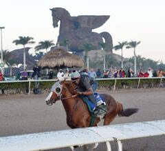 Pegasus World Cup Preview: The Rematch